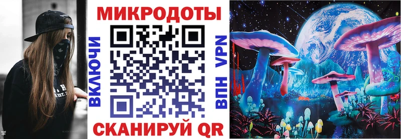 Псилоцибиновые грибы мухоморы Рудня